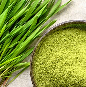 how to use wheatgrass powder