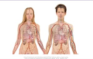 how diabetes affects the body