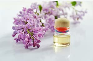 herbal detox plan