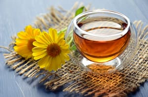 herbal detox plan
