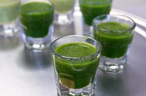 how to use wheatgrass powder