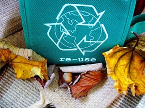 green shopping tips